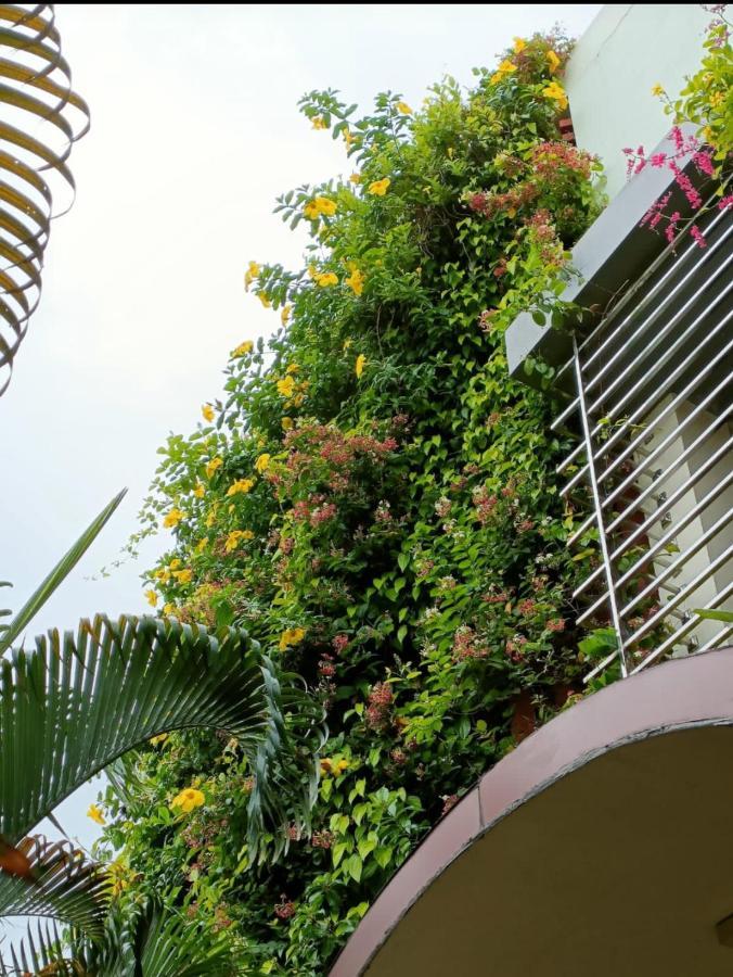 Mango Tree Homestay Hampi Ngoại thất bức ảnh